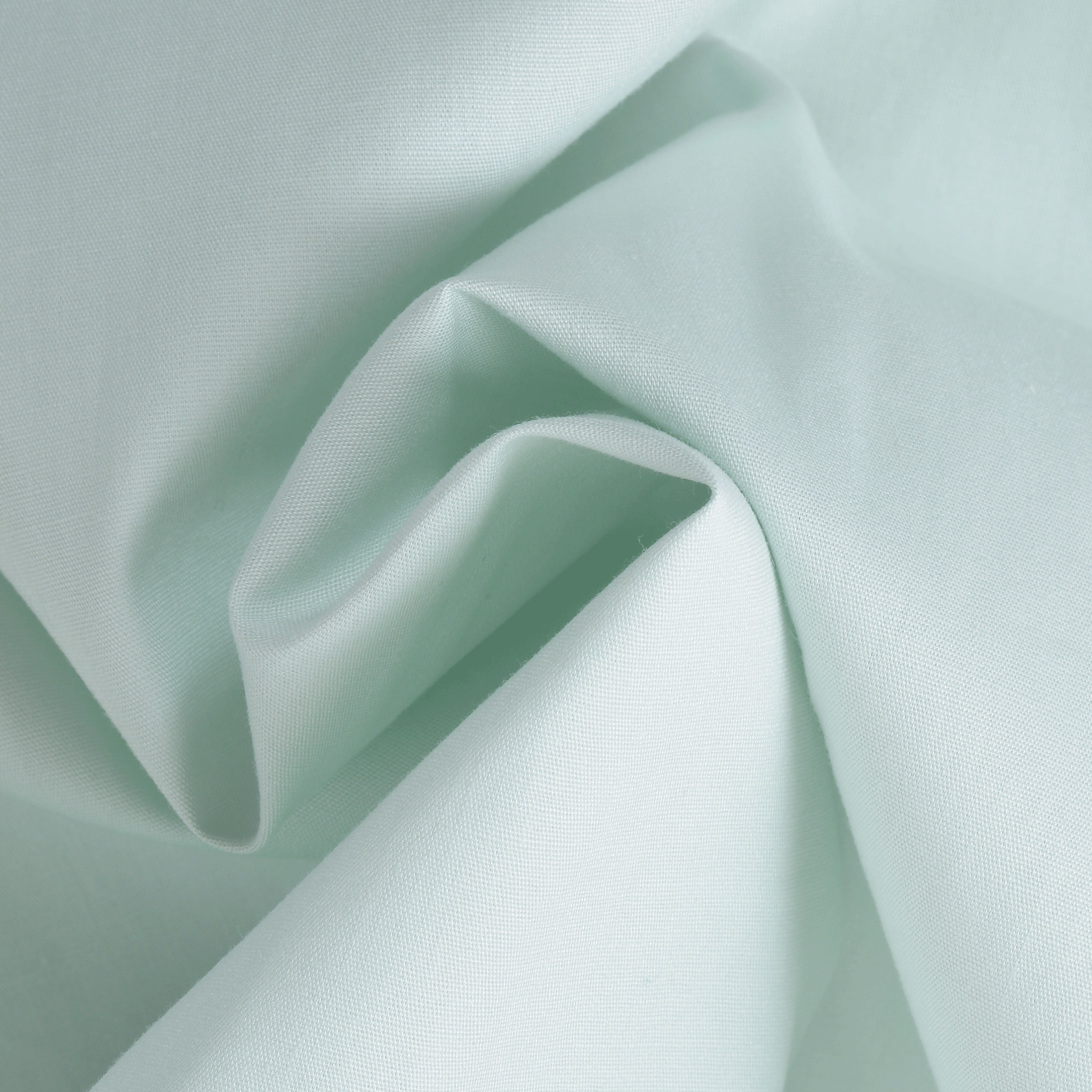 半袖ボタンダウンシャツ 24114510