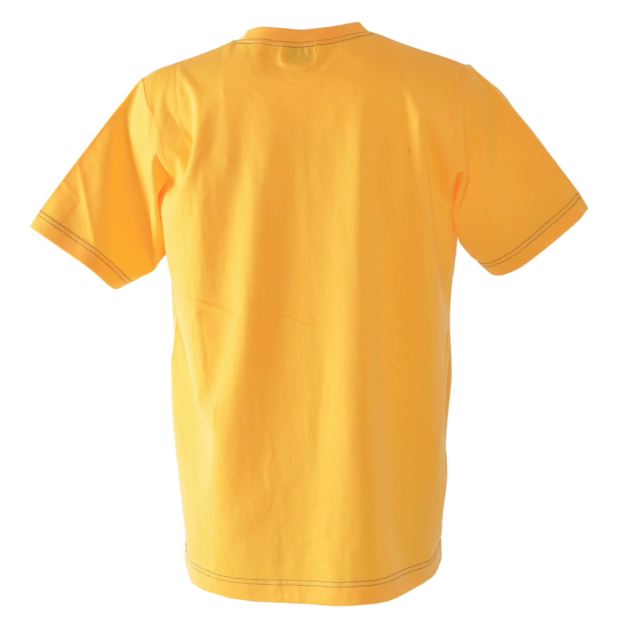 T -shirt 10000530