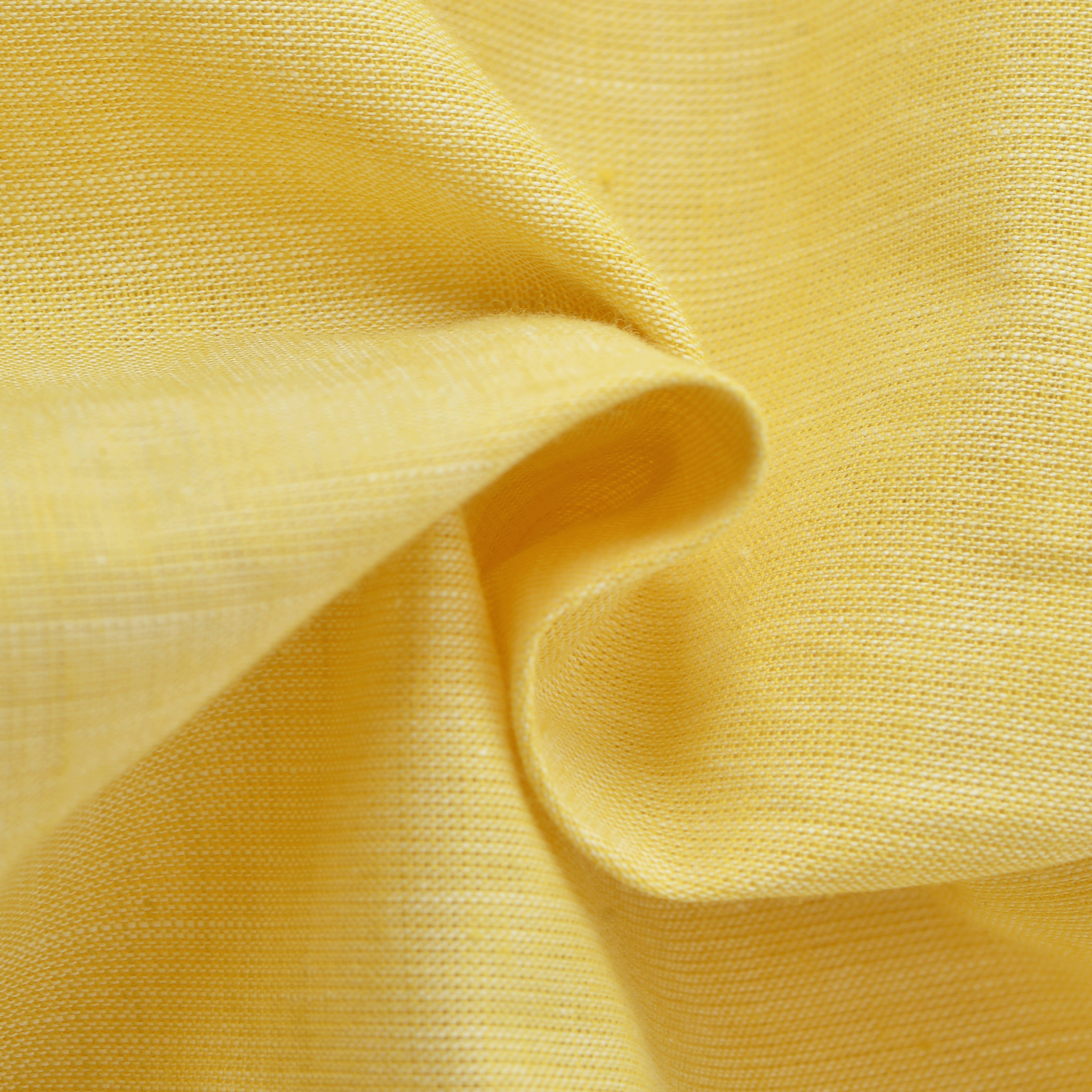 キングサイズ 半袖ボタンダウンシャツ 26124556