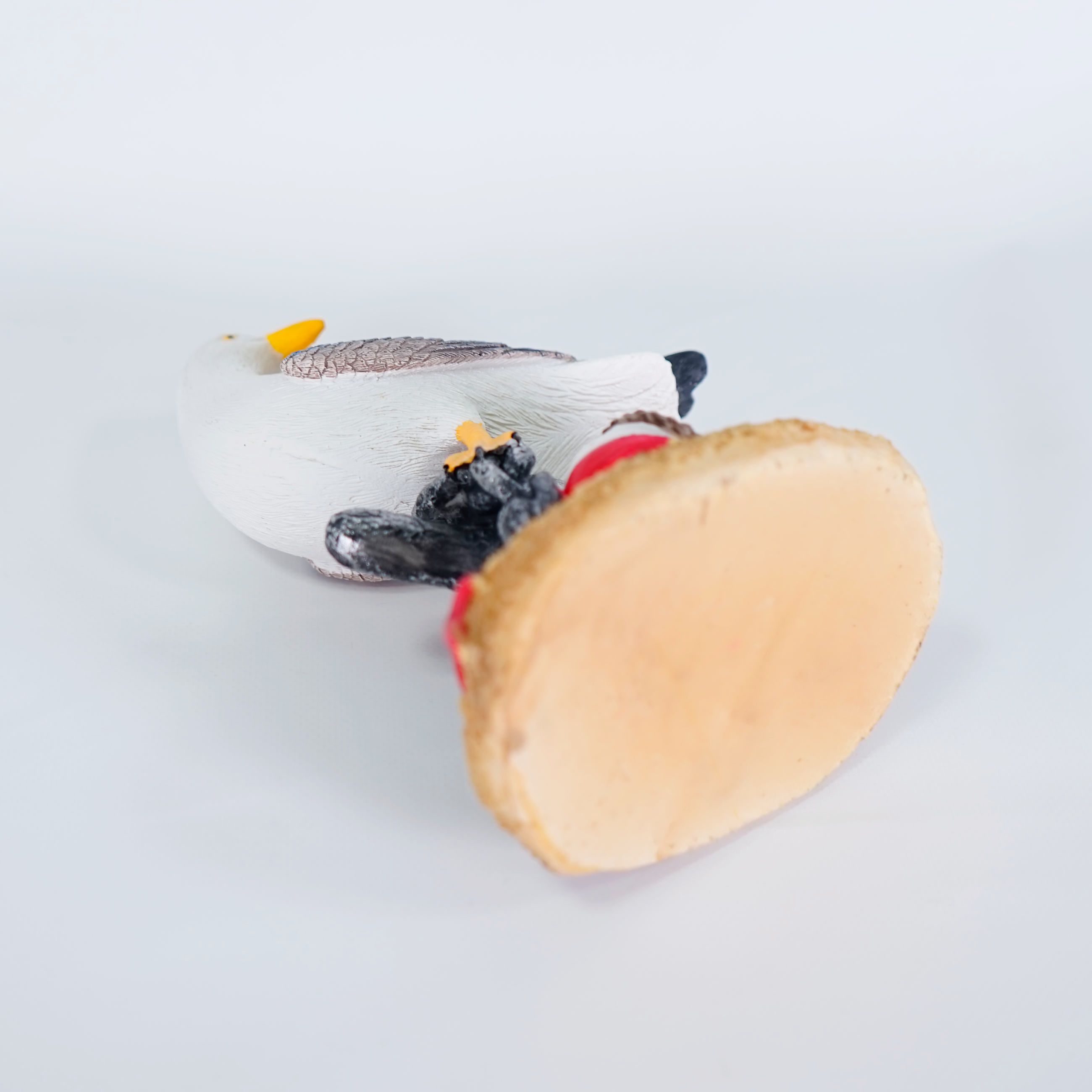 Seagull object 57001750