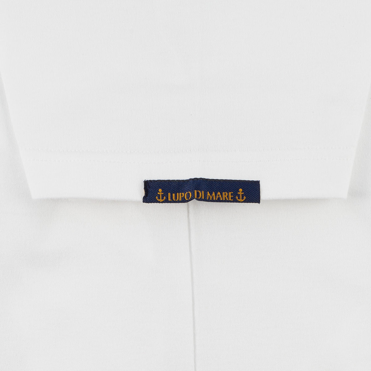 Short sleeve T -shirt 10000580