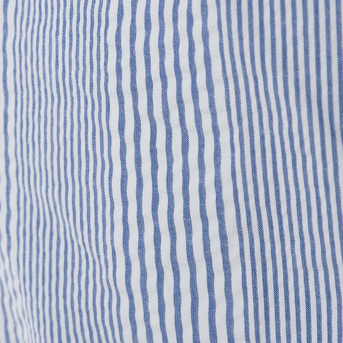 【アウトレット】【公式】シナコバ (SINA COVA) 半袖 ボタンダウンシャツ 20124633