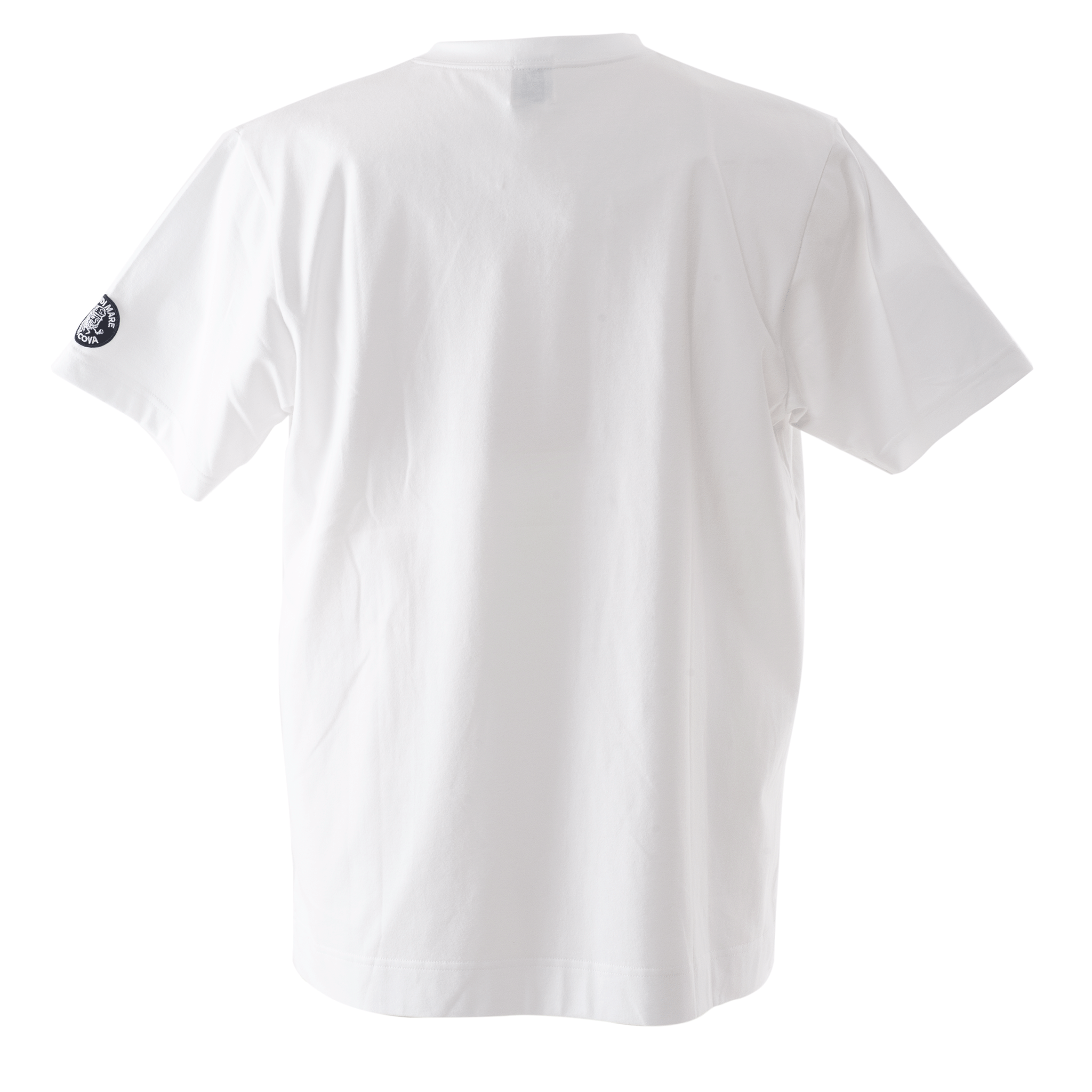 【公式】シナコバ(SINA COVA)Vネック半袖Tシャツ 綿100% 23120560