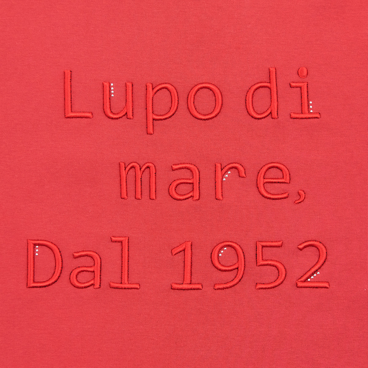 レディースベルスリーブTシャツ 20180560