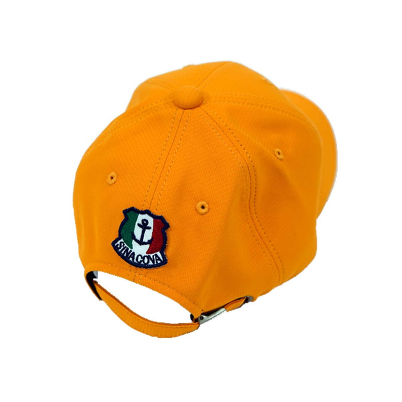 Baseball Cap 22177720