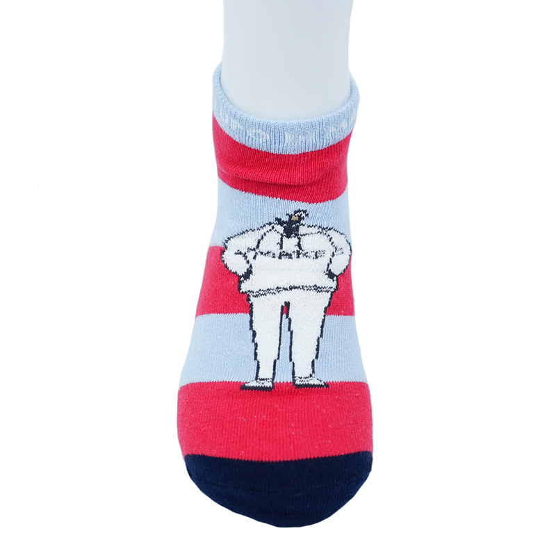 [Official] SINA COVA (SINA COVA) Socks (25-27㎝) 23177480